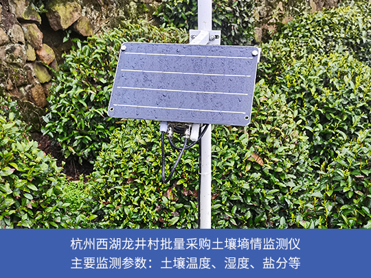 开云登陆口网页版