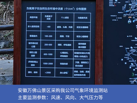 kayun体育官方网站入口